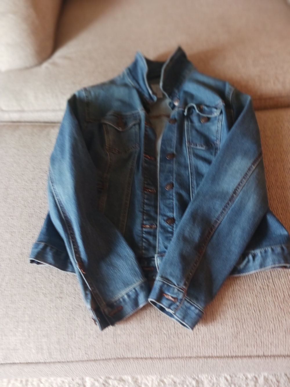Time and Tru Classic Denim Jacket in Blue
